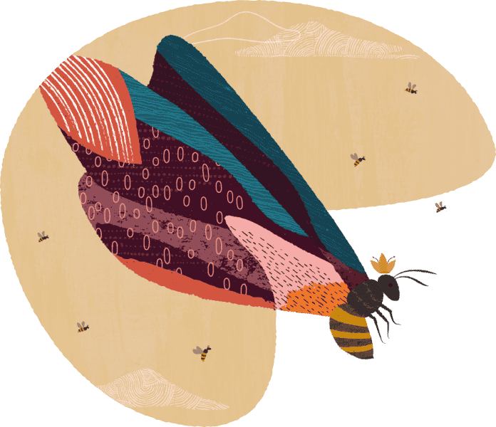 SaaS and EBS Extensions