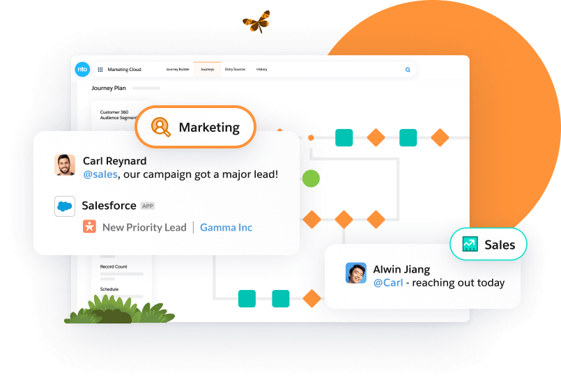 Salesforce marketing and sales